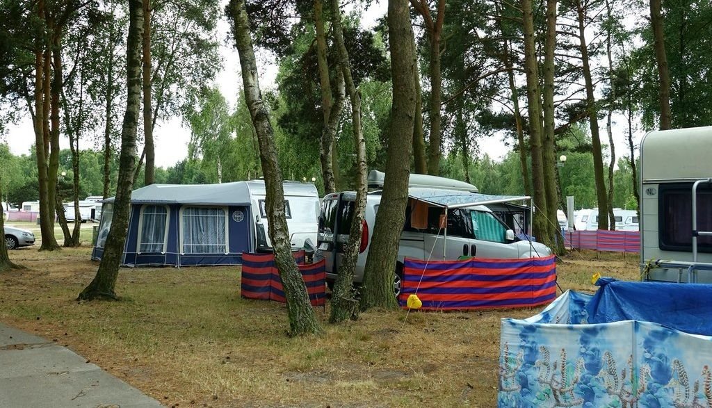 Biała Mewa nr 88