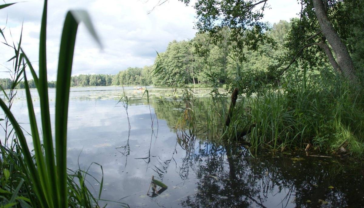 Perła Krutyni nr 77